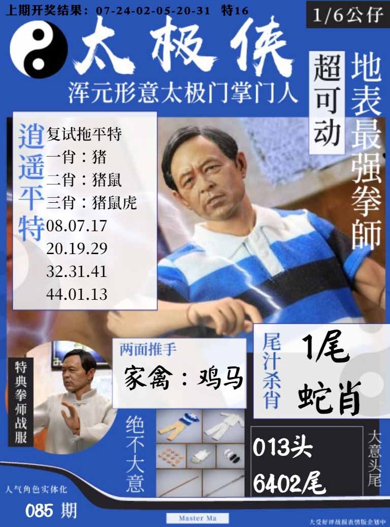 085期太极侠[图]